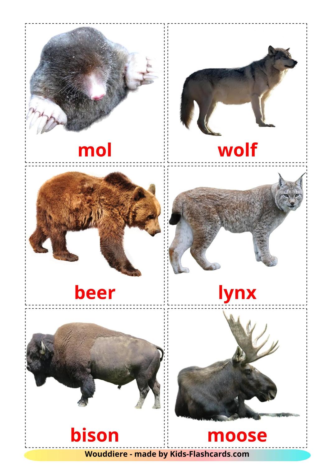 Les Animaux de la Forêt - 23 Flashcards afrikaans imprimables gratuitement