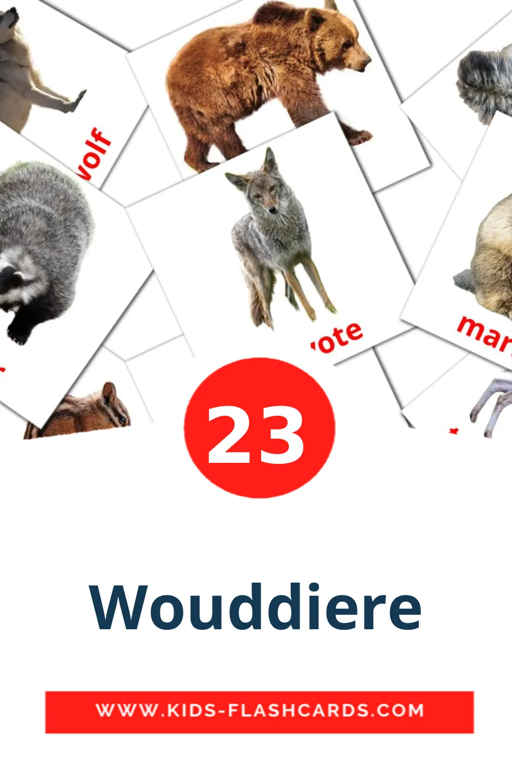 23 cartes illustrées de Wouddiere pour la maternelle en afrikaans