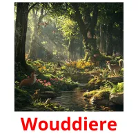 Wouddiere cartes flash