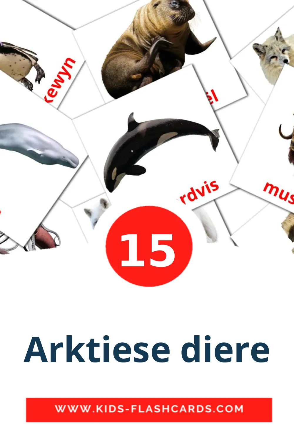 15 Arktiese diere Picture Cards for Kindergarden in afrikaans