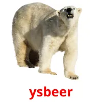 ysbeer picture flashcards