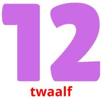 twaalf picture flashcards