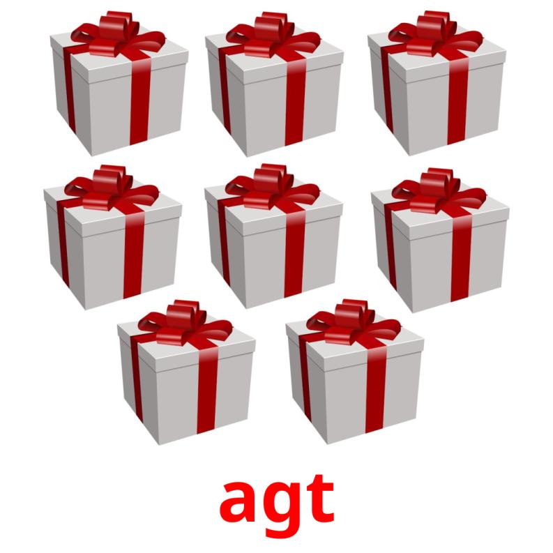 agt picture flashcards