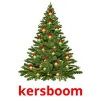 kersboom picture flashcards