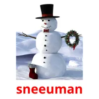 sneeuman picture flashcards