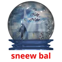 sneew bal picture flashcards