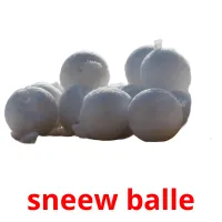 sneew balle picture flashcards