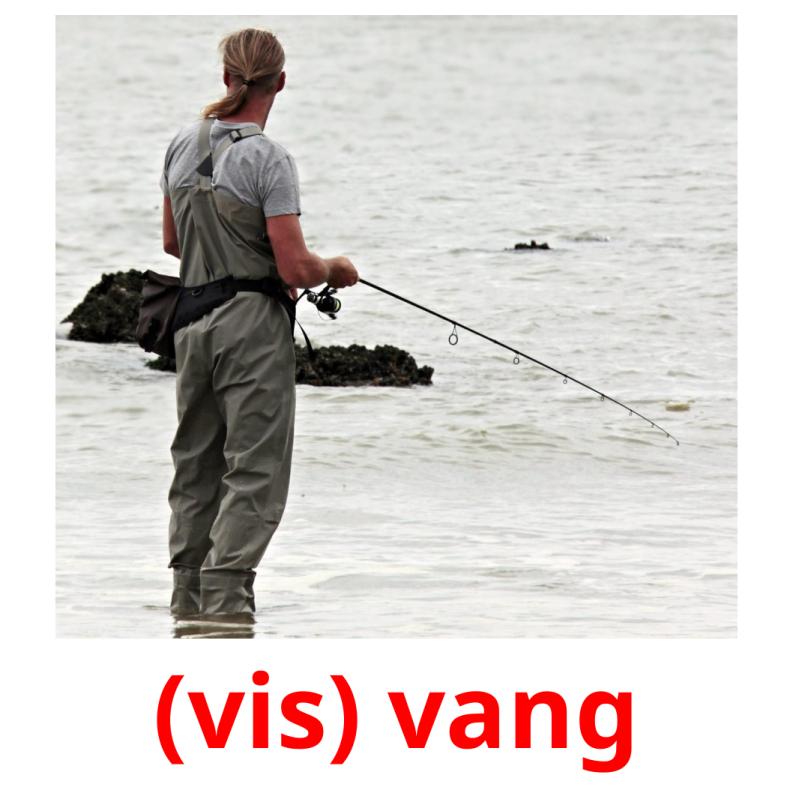 (vis) vang picture flashcards