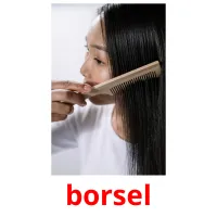 borsel Bildkarteikarten