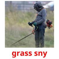 grass sny Bildkarteikarten