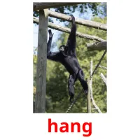 hang Bildkarteikarten