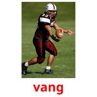 vang picture flashcards