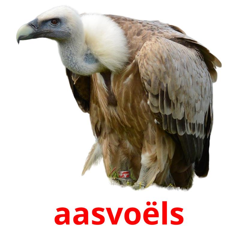 aasvoëls карточки энциклопедических знаний