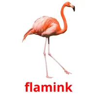 flamink cartões com imagens