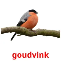 goudvink cartões com imagens