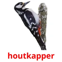 houtkapper cartões com imagens