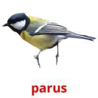 parus card for translate