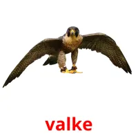 valke cartões com imagens