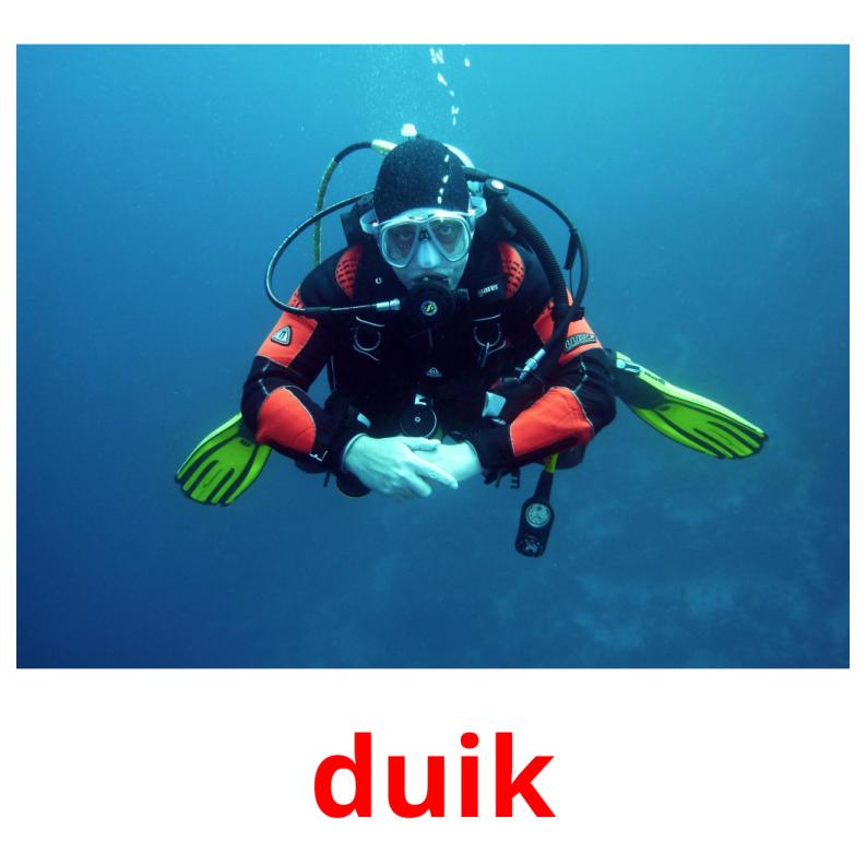 duik picture flashcards