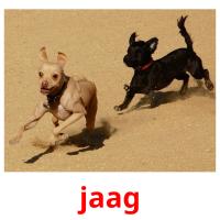 jaag picture flashcards