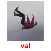 val picture flashcards