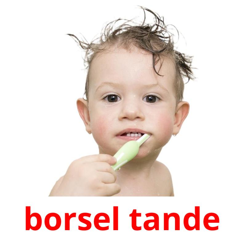 borsel tande picture flashcards