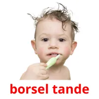 borsel tande Bildkarteikarten