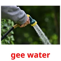 gee water Bildkarteikarten