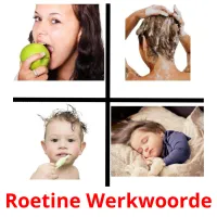 Roetine Werkwoorde Bildkarteikarten