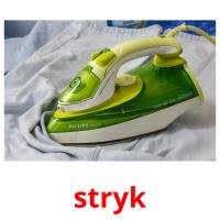 stryk picture flashcards