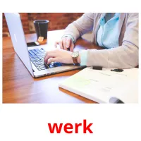 werk Bildkarteikarten