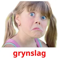 grynslag picture flashcards