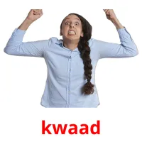 kwaad picture flashcards