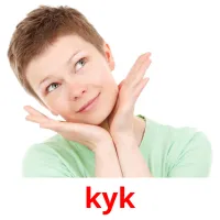 kyk picture flashcards