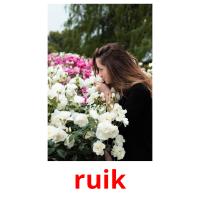 ruik card for translate