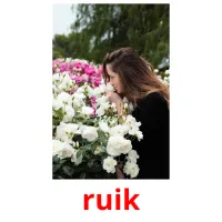 ruik picture flashcards