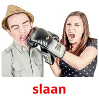 slaan picture flashcards