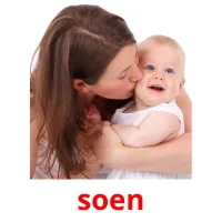 soen picture flashcards