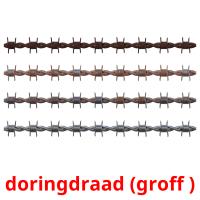 doringdraad (groff ) picture flashcards