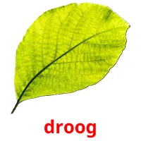 droog flashcards illustrate