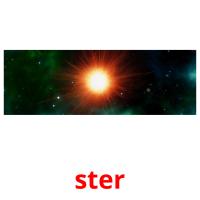 ster picture flashcards