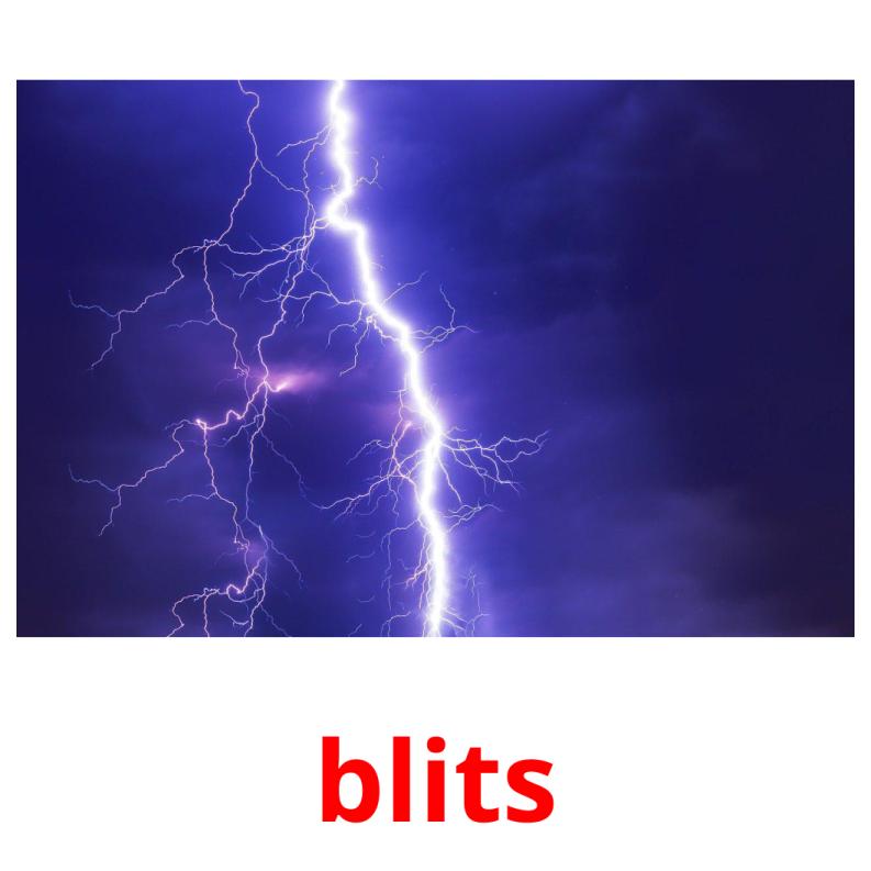 blits picture flashcards