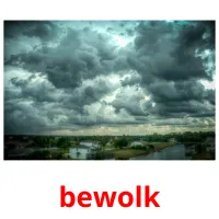 bewolk Tarjetas didacticas