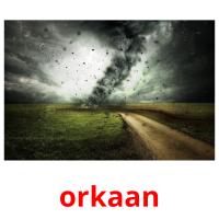 orkaan picture flashcards
