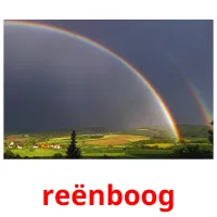 reënboog Tarjetas didacticas