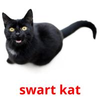 swart kat card for translate