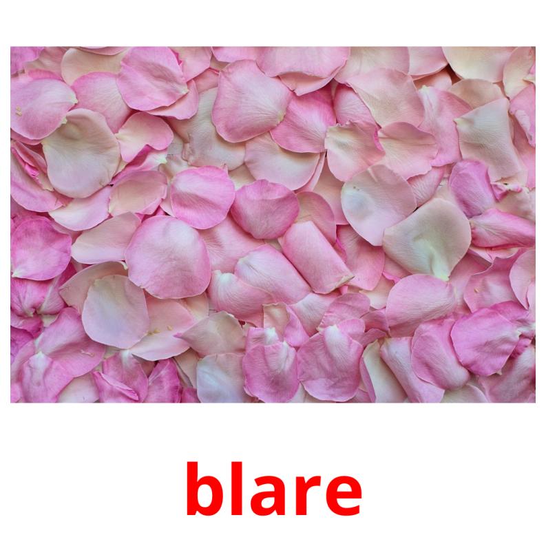 blare picture flashcards