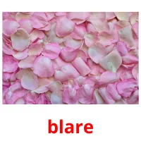 blare flashcards illustrate