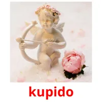 kupido flashcards illustrate