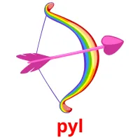 pyl flashcards illustrate